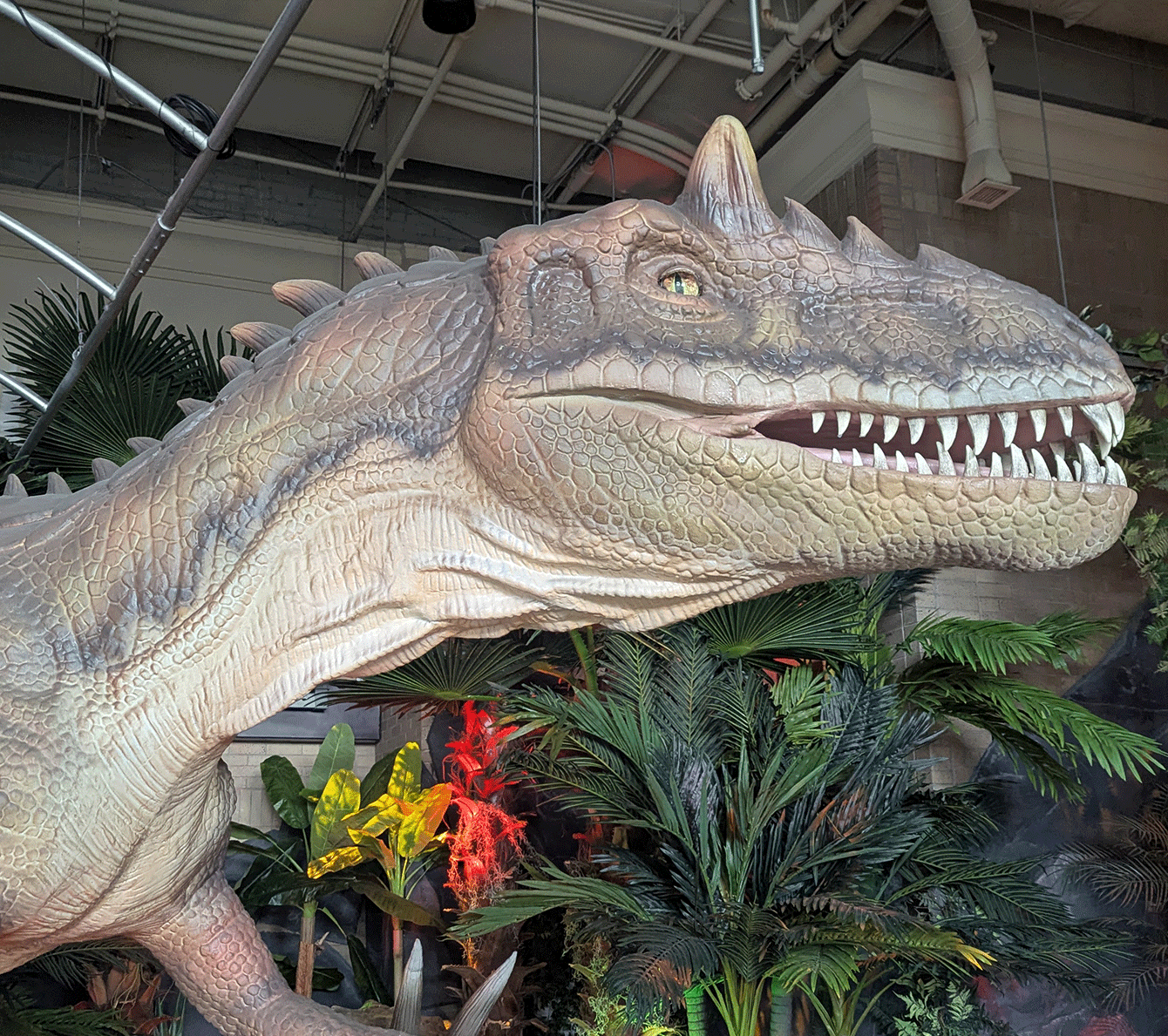 Photo of an Allosaurus Animatronic inside of Jurassic Journey